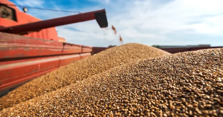 China decreases soybean imports from Brazil ahead of Trump-Xi meeting.